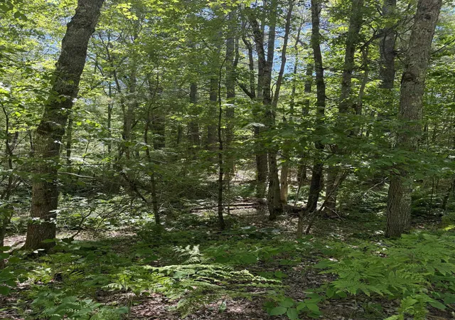Homes for sale in Barrington, NH | Lot 33, 34, 35 Washington St, Barrington, NH 03825 | MLS# 5095567