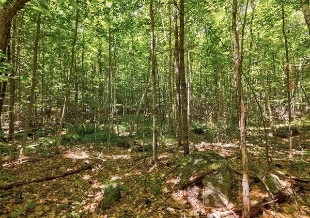Homes for sale in Meredith, NH | Lot 12 2 Needle Eye Rd, Meredith, NH 03253 | MLS# 5095653