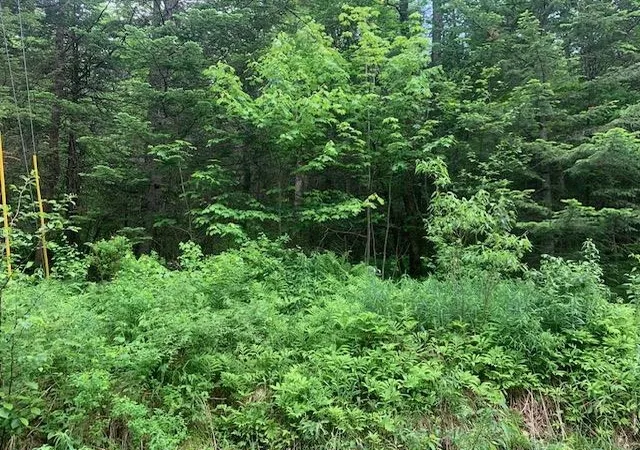 1st image of Tbd Griffin Rd, Stewartstown, NH 03576 | MLS# 5095693