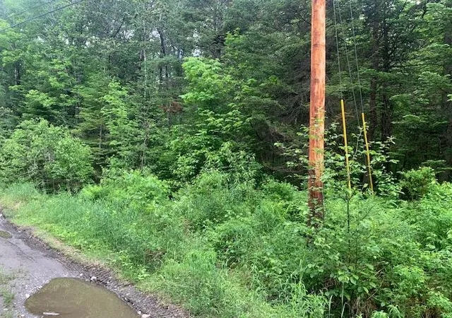 2nd image of Tbd Griffin Rd, Stewartstown, NH 03576 | MLS# 5095693