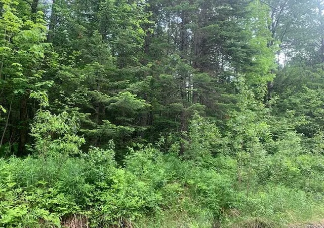 3rd image of Tbd Griffin Rd, Stewartstown, NH 03576 | MLS# 5095693