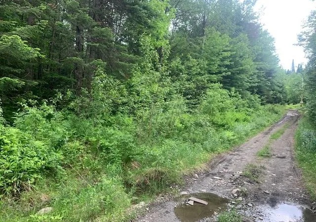 4th image of Tbd Griffin Rd, Stewartstown, NH 03576 | MLS# 5095693