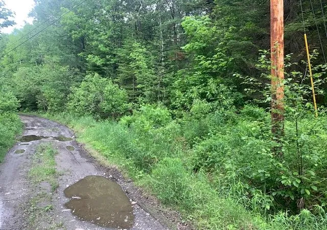 5th image of Tbd Griffin Rd, Stewartstown, NH 03576 | MLS# 5095693