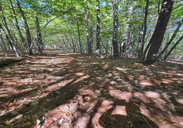 Homes for sale in New Durham, NH | 0 Grove Rd, New Durham, NH 03855 | MLS# 5095723