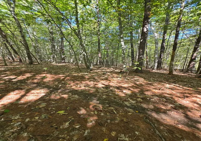3rd image of 0 Grove Rd, New Durham, NH 03855 | MLS# 5095723