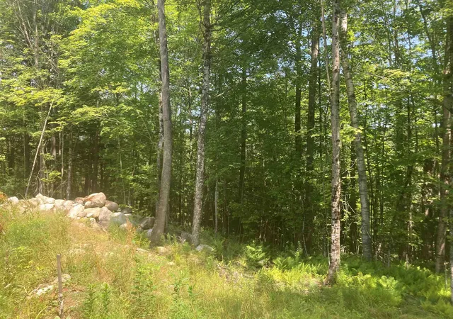 1st image of New Aldrich Rd, Grantham, NH 03753 | MLS# 5095730