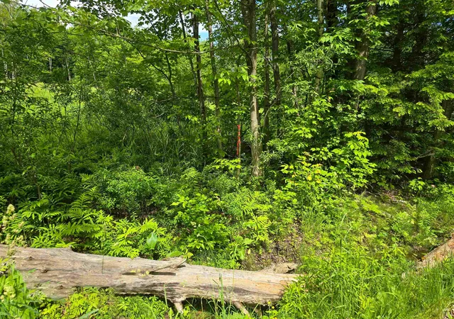 44th image of 433 Wightman Hill Rd, Richford, VT 05476 | MLS# 5095733