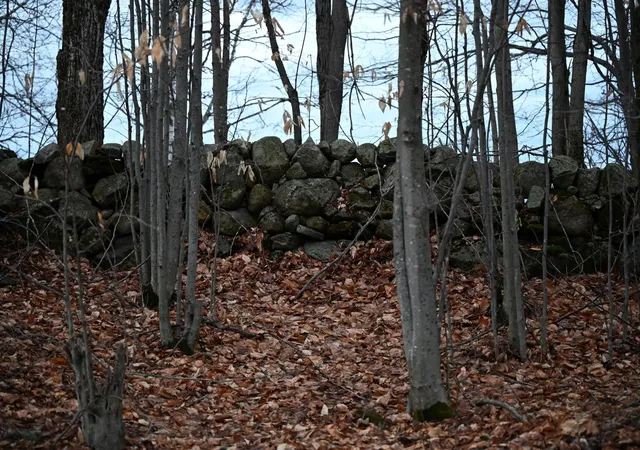 2nd image of 00 Downing Rd, Topsham, VT 05076 | MLS# 5095765