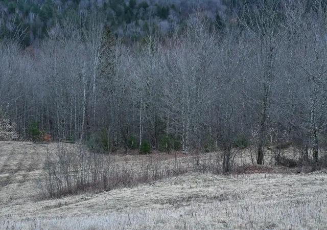 Photo 3 of Sale Pending at 00 Downing Rd, Topsham, VT 05076 | MLS# 5095765 | Listing updated on 2026-07-06