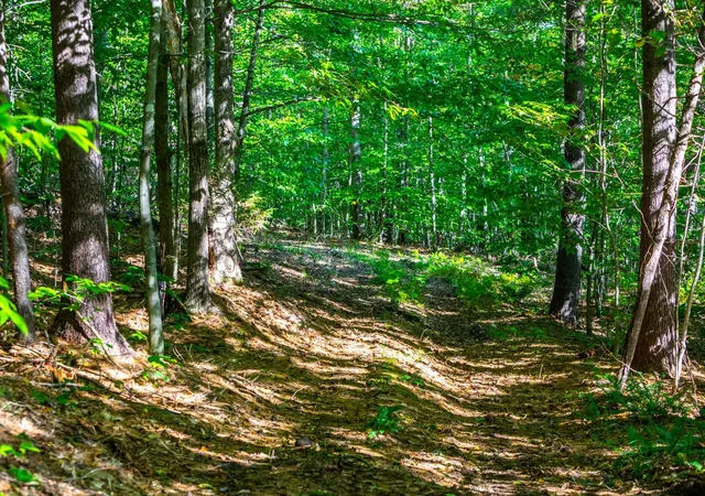 2nd image of 00 Granite Ledge, Pomfret, VT 05059 | MLS# 5095778