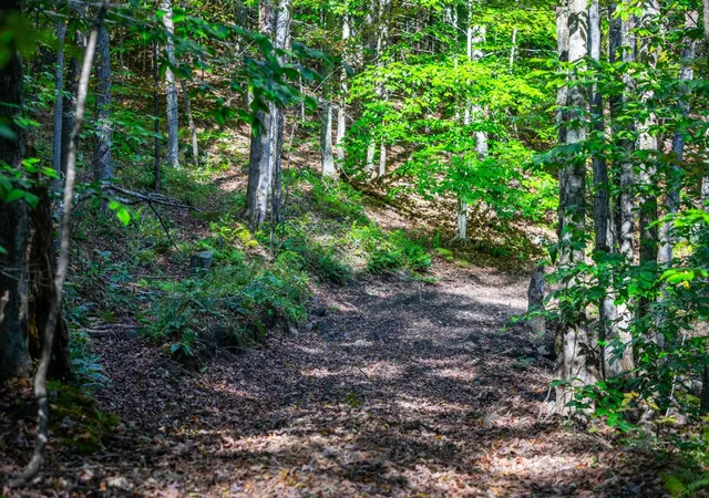 3rd image of 00 Granite Ledge, Pomfret, VT 05059 | MLS# 5095778