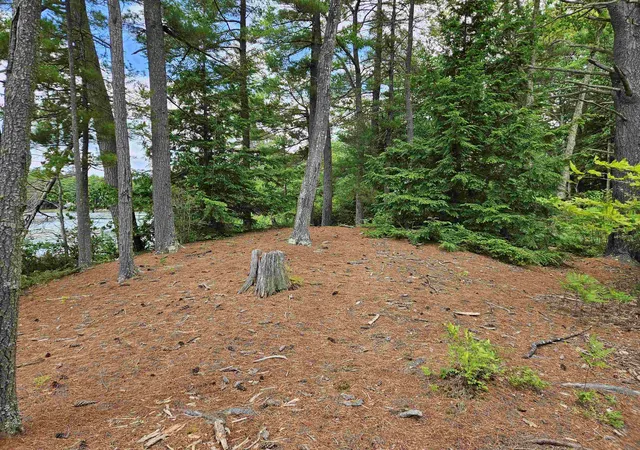 Homes for sale in Gilmanton, NH | 0 Meadow Pond Rd, Gilmanton, NH 03237 | MLS# 5095790