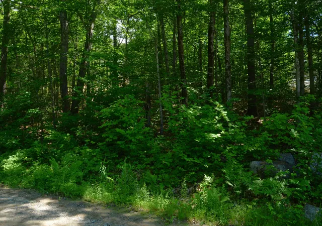 Homes for sale in Alton, NH | Scott Dr, Alton, NH 03810 | MLS# 5095810