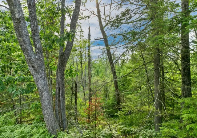 5th image of 56-3-8 Federal Corner Rd, Tuftonboro, NH 03816 | MLS# 5095815