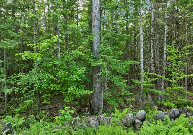 7th image of 56 3 8 Federal Corner Rd, Tuftonboro, NH 03816 | MLS# 5095815