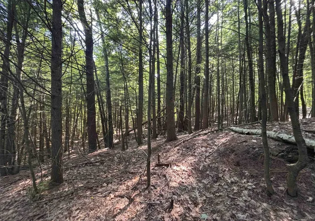 Homes for sale in Northfield, NH | 00 Windfall Rd, Northfield, NH 03276 | MLS# 5095840