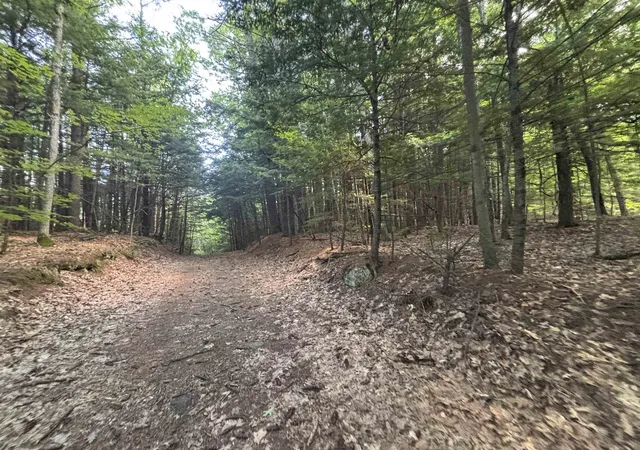 Homes for sale in Northfield, NH | 00 Windfall Rd, Northfield, NH 03276 | MLS# 5095840