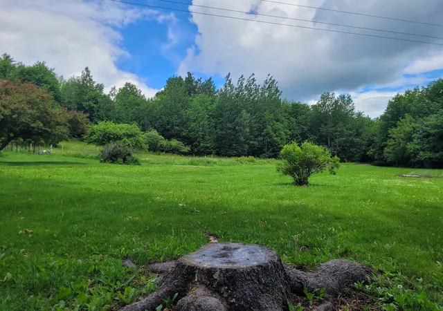 5th image of 66 Downing Rd, Lunenburg, VT 05906 | MLS# 5095866