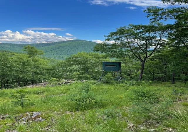 Homes for sale in Wells, VT | 653 Saw Mill Hill Rd, Wells, VT 05774 | MLS# 5095895