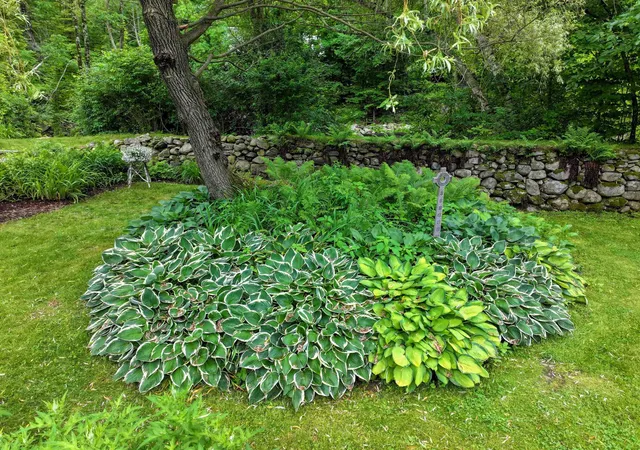 4th image of 464 East Main St, Middlebury, VT 05753 | MLS# 5095929