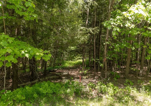 1st image of 1243 North Hollow Rd, Stowe, VT 05672 | MLS# 5095961