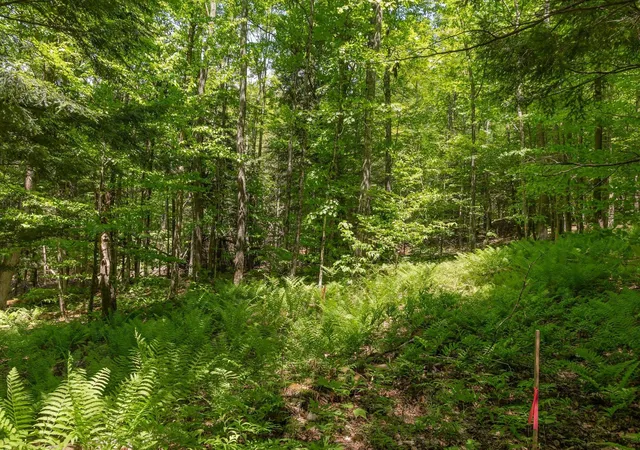 2nd image of 1243 North Hollow Rd, Stowe, VT 05672 | MLS# 5095961
