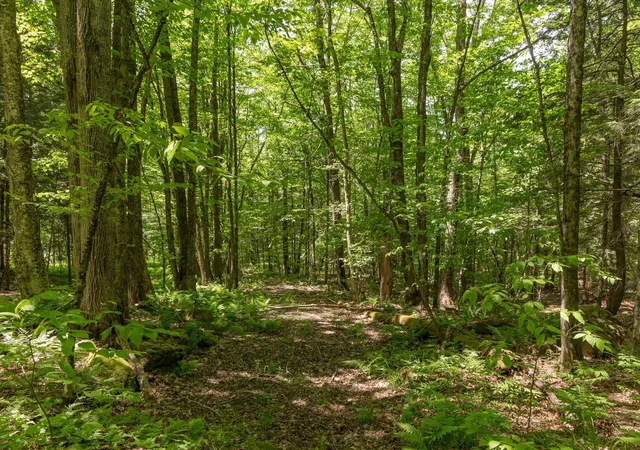 3rd image of 1243 North Hollow Rd, Stowe, VT 05672 | MLS# 5095961