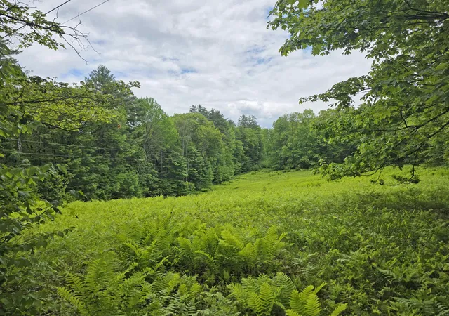 Homes for sale in Newfane, VT | 157 Newfane Hill Rd, Newfane, VT 05345 | MLS# 5096005