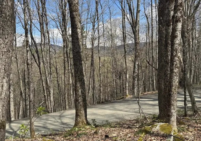 1st image of 316 Last Rd, Cabot, VT 05647 | MLS# 5096077