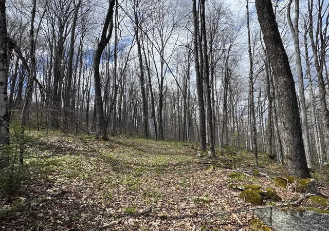 2nd image of 316 Last Rd, Cabot, VT 05647 | MLS# 5096077