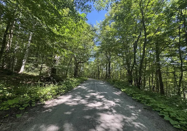 4th image of 316 Last Rd, Cabot, VT 05647 | MLS# 5096077
