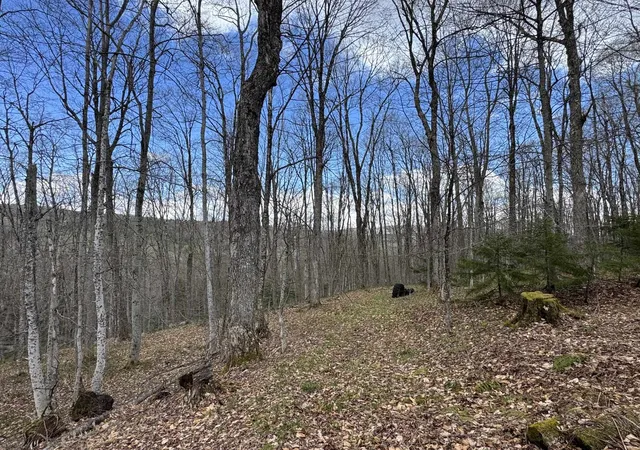 5th image of 316 Last Rd, Cabot, VT 05647 | MLS# 5096077