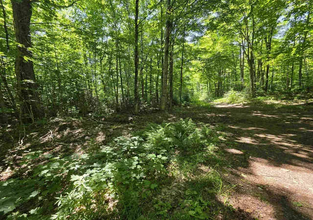 Photo 1 of Land for sale at 1700 Arcadia Ln, Westmore, VT 05860 | MLS# 5096129 | Listing updated on 2026-08-01