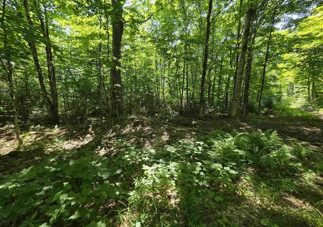 Photo 2 of Land for sale at 1700 Arcadia Ln, Westmore, VT 05860 | MLS# 5096129 | Listing updated on 2026-08-01