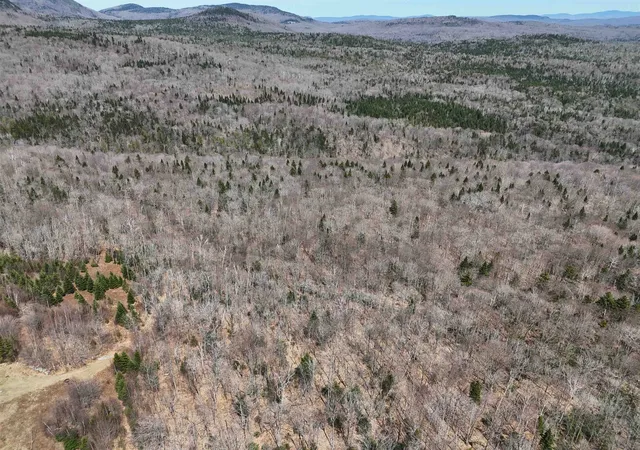 Photo 3 of Land for sale at 1700 Arcadia Ln, Westmore, VT 05860 | MLS# 5096129 | Listing updated on 2026-08-01