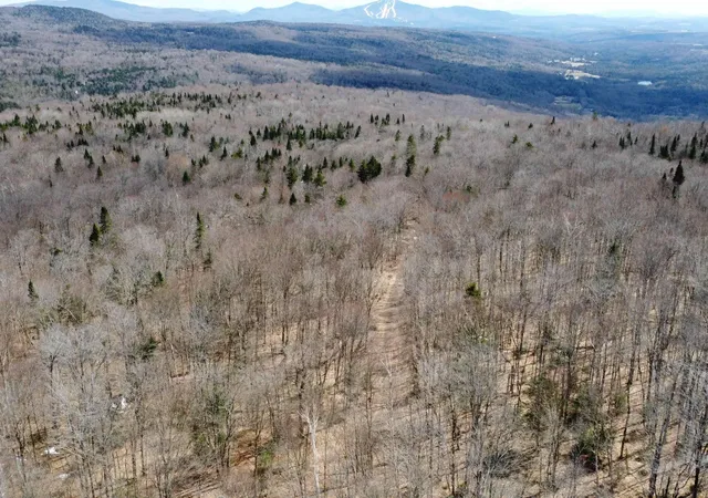 Photo 4 of Land for sale at 1700 Arcadia Ln, Westmore, VT 05860 | MLS# 5096129 | Listing updated on 2026-08-01