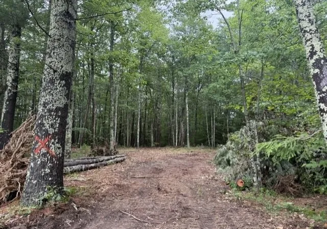 3rd image of 120 Rounala Rd, Milford, NH 03055 | MLS# 5096139