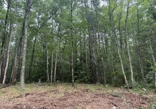 4th image of 120 Rounala Rd, Milford, NH 03055 | MLS# 5096139