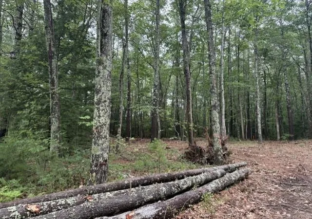 5th image of 120 Rounala Rd, Milford, NH 03055 | MLS# 5096139