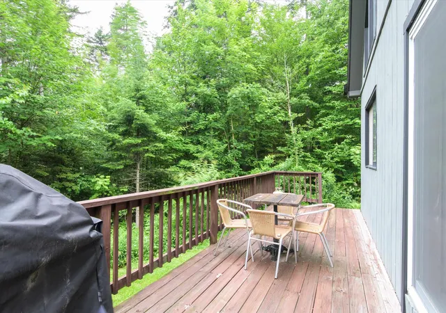 Homes for sale in Dover, VT | 14 Mill Rd, Dover, VT 05356 | MLS# 5096233