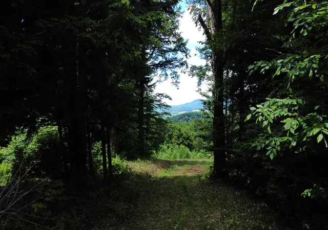 16th image of 157 Bear Creek Ln, Waterbury, VT 05677 | MLS# 5096261