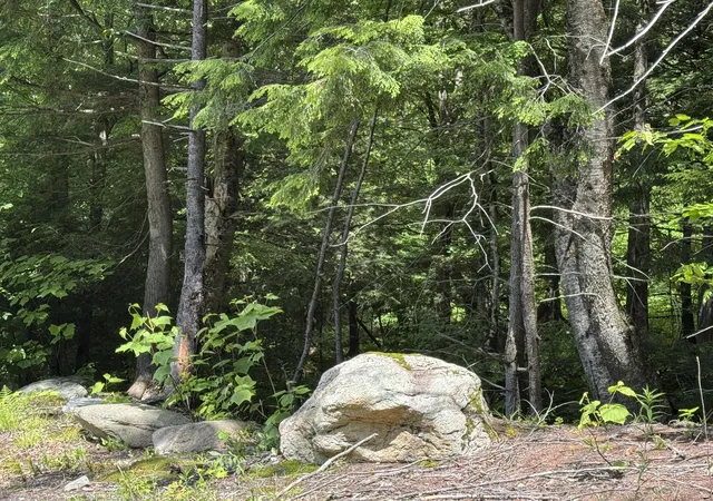 4th image of 157 Bear Creek Ln, Waterbury, VT 05677 | MLS# 5096261