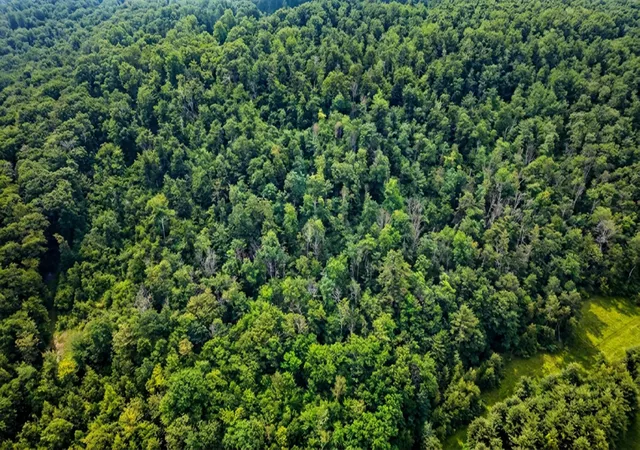 2nd image of 00 Hurricane Rd, Westmoreland, NH 03467 | MLS# 5096265