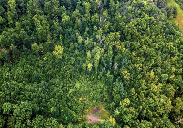 3rd image of 00 Hurricane Rd, Westmoreland, NH 03467 | MLS# 5096265