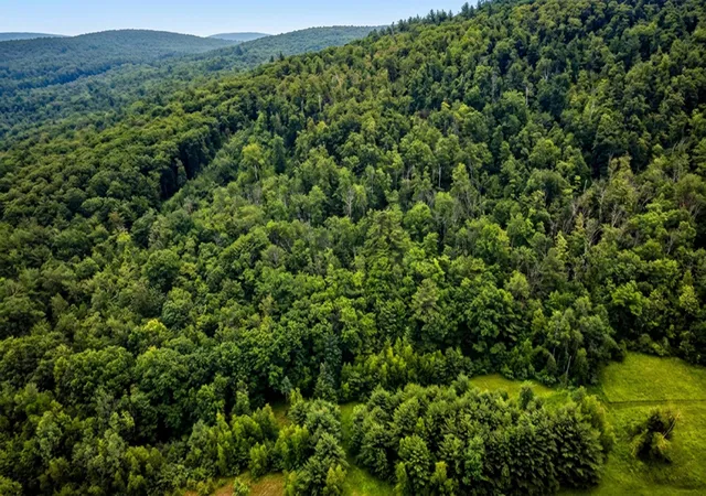 4th image of 00 Hurricane Rd, Westmoreland, NH 03467 | MLS# 5096265