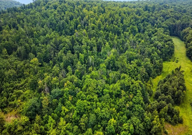 5th image of 00 Hurricane Rd, Westmoreland, NH 03467 | MLS# 5096265