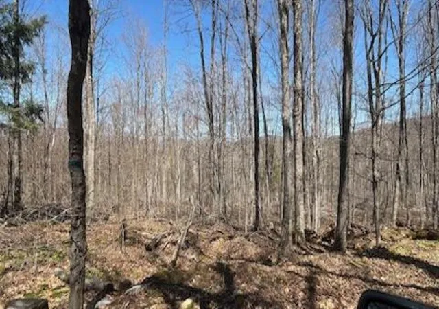 Homes for sale in Plymouth, VT | 1376 Kingdom Rd, Plymouth, VT 05056 | MLS# 5096322