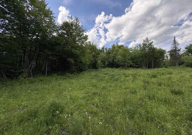 1st image of 208 Drake Pl Rd, Sheffield, VT 05866 | MLS# 5096325