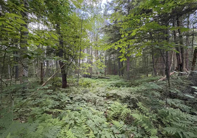 43rd image of 208 Drake Pl Rd, Sheffield, VT 05866 | MLS# 5096325