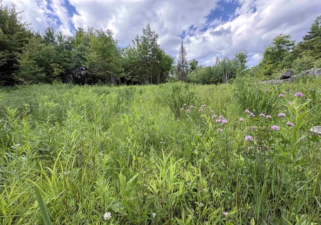 5th image of 208 Drake Pl Rd, Sheffield, VT 05866 | MLS# 5096325
